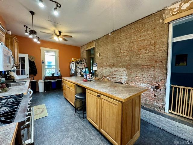 316 S Downing Property Photo 32