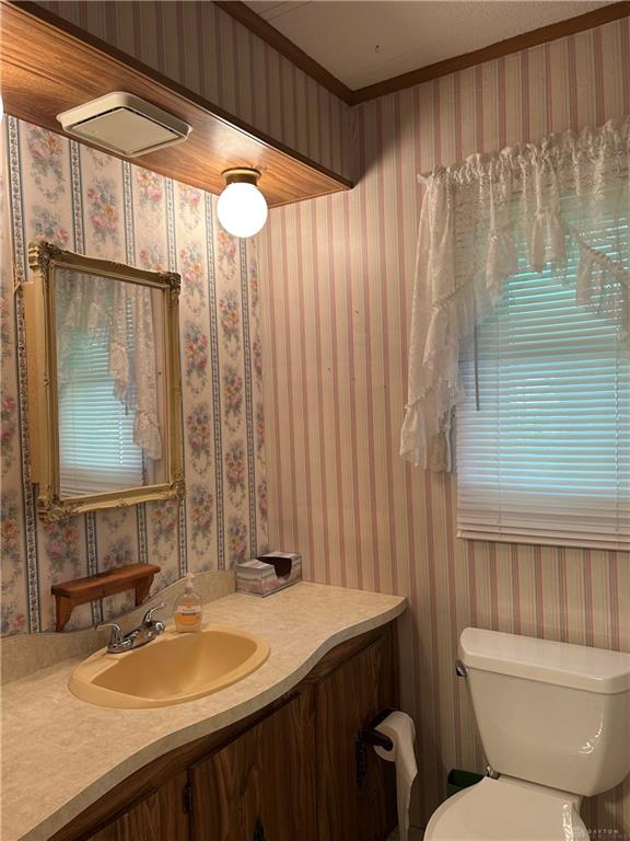 48 Beech Property Photo 24