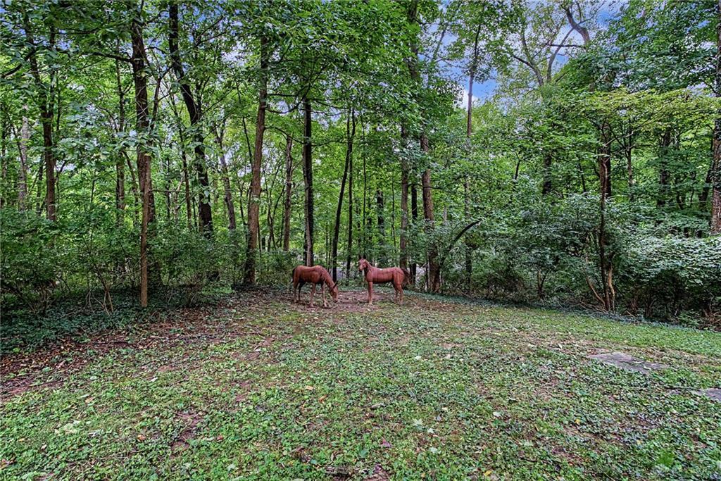 195 Colonial Property Photo 5
