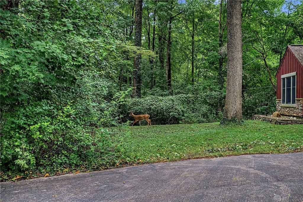 195 Colonial Property Photo 78