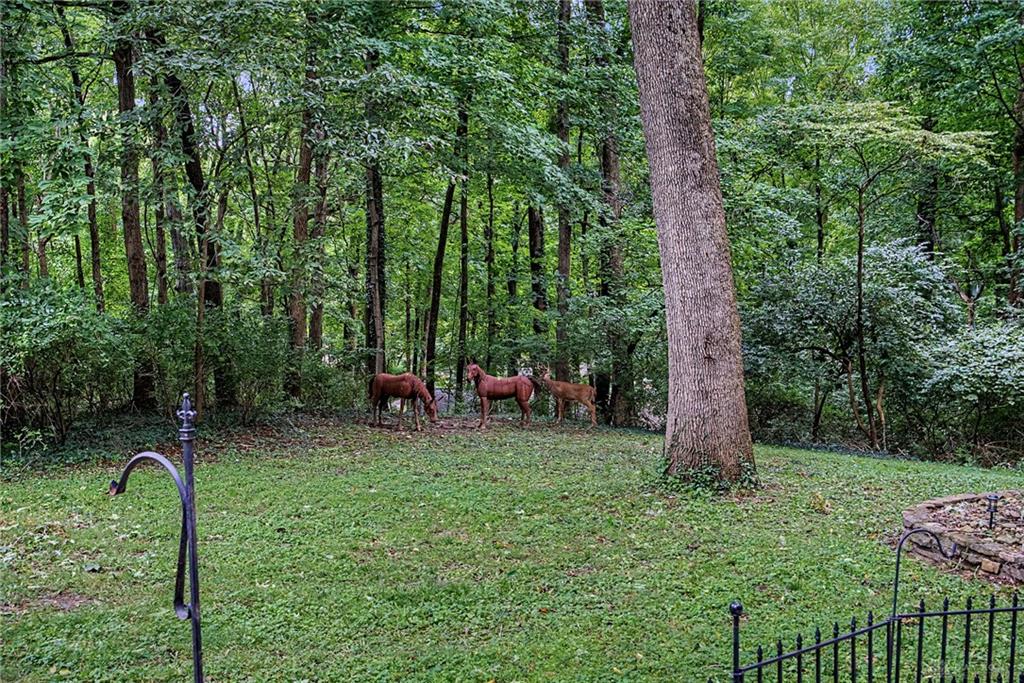 195 Colonial Property Photo 79