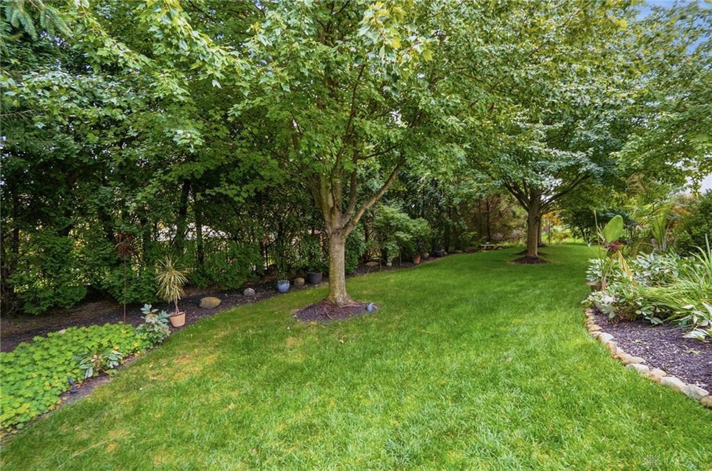 10842 Mariam Property Photo 75