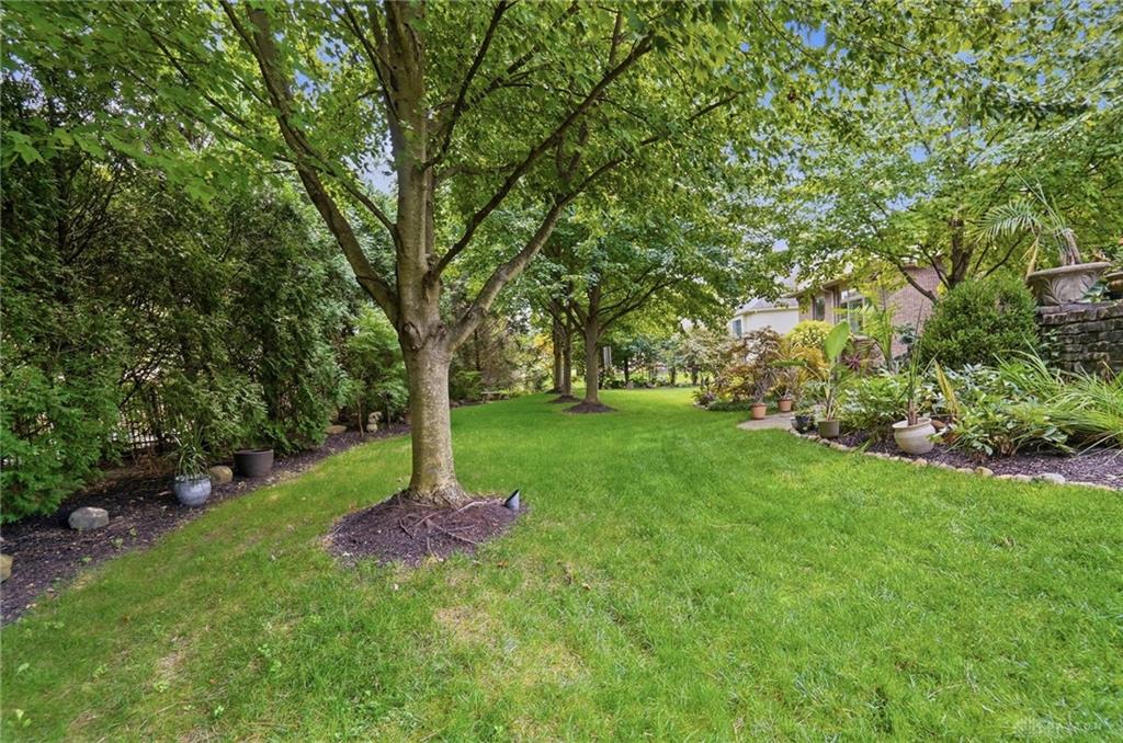 10842 Mariam Property Photo 76
