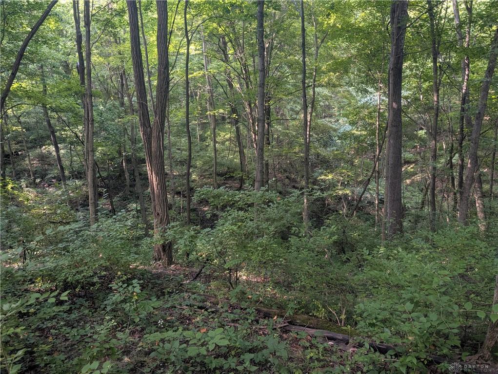 0 Hickman Road Property Photo 8
