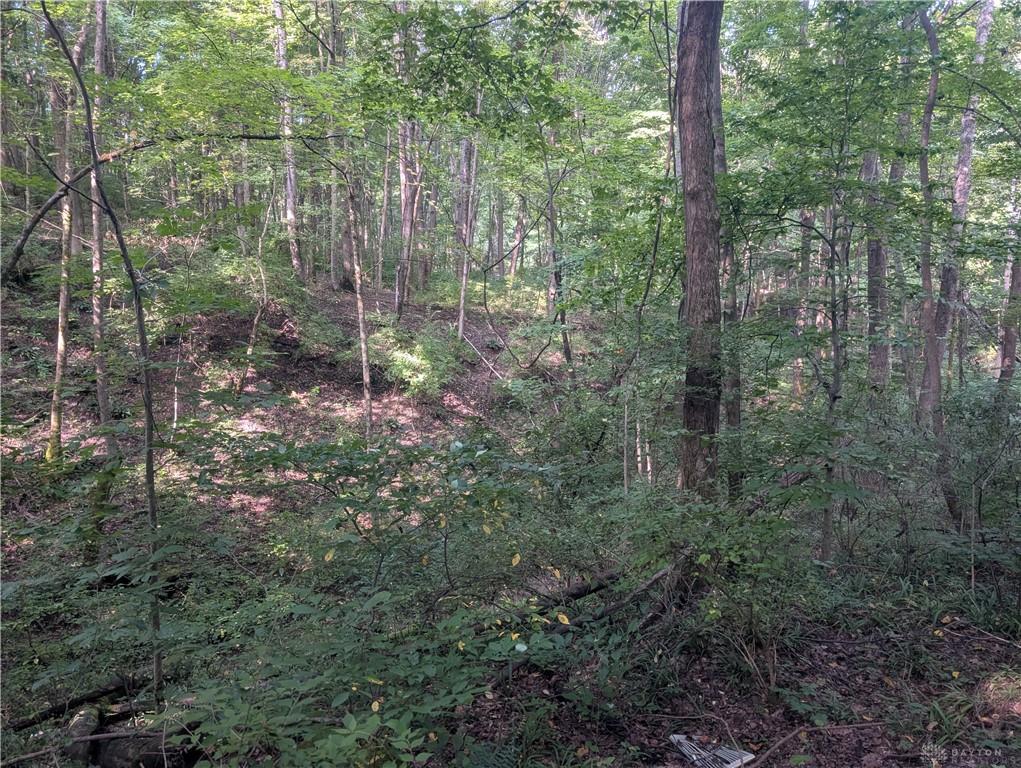 0 Hickman Road Property Photo 11