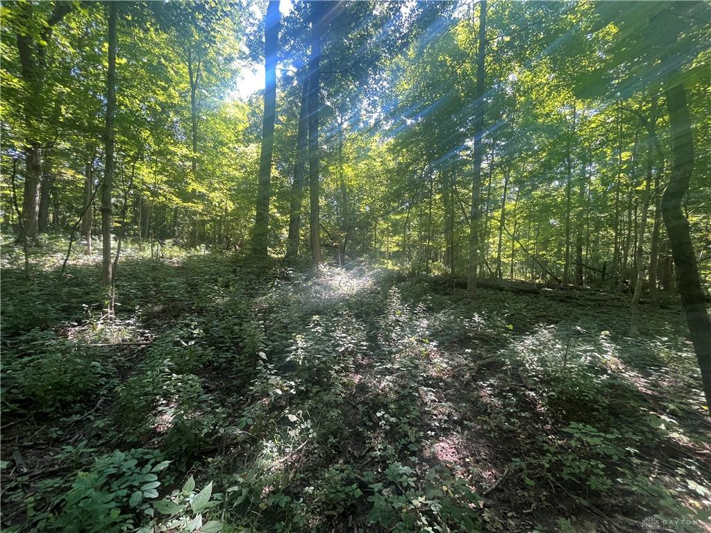 10331 Upper Alexander Property Photo 32