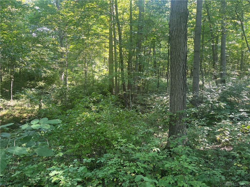 10331 Upper Alexander Property Photo 33