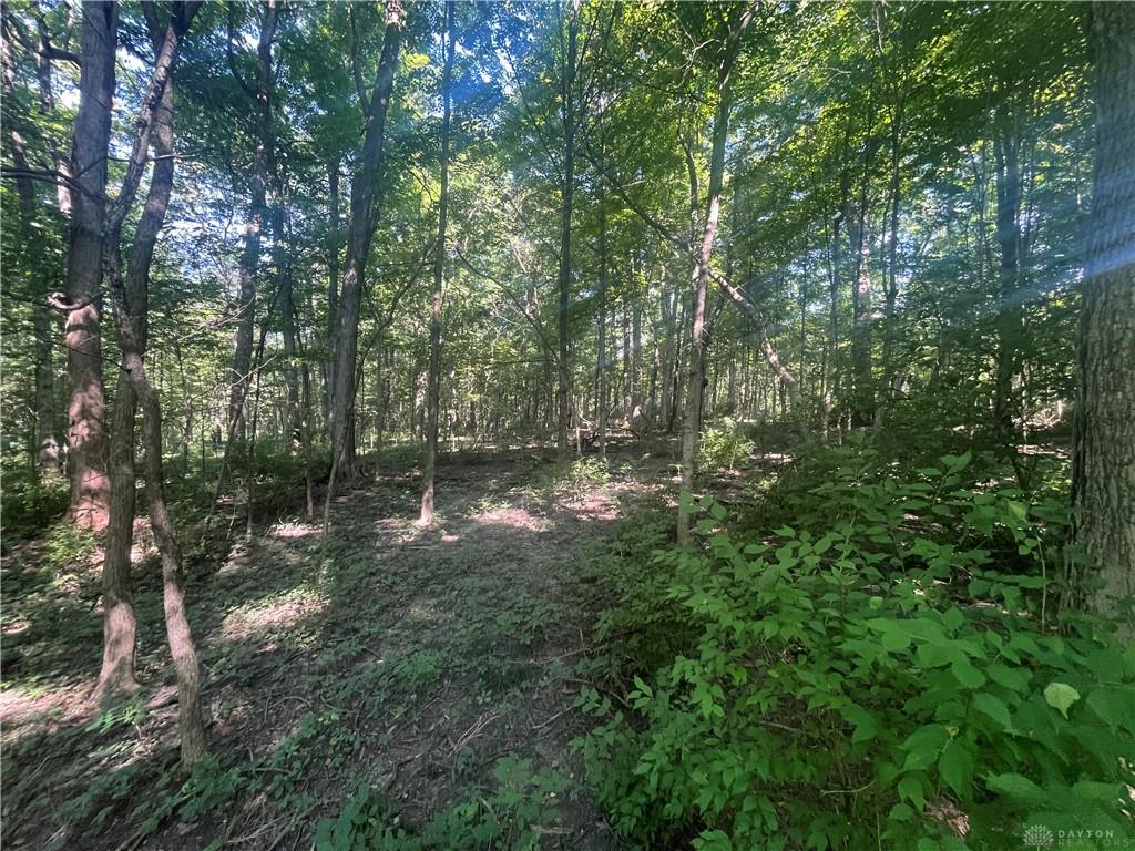 10331 Upper Alexander Property Photo 34