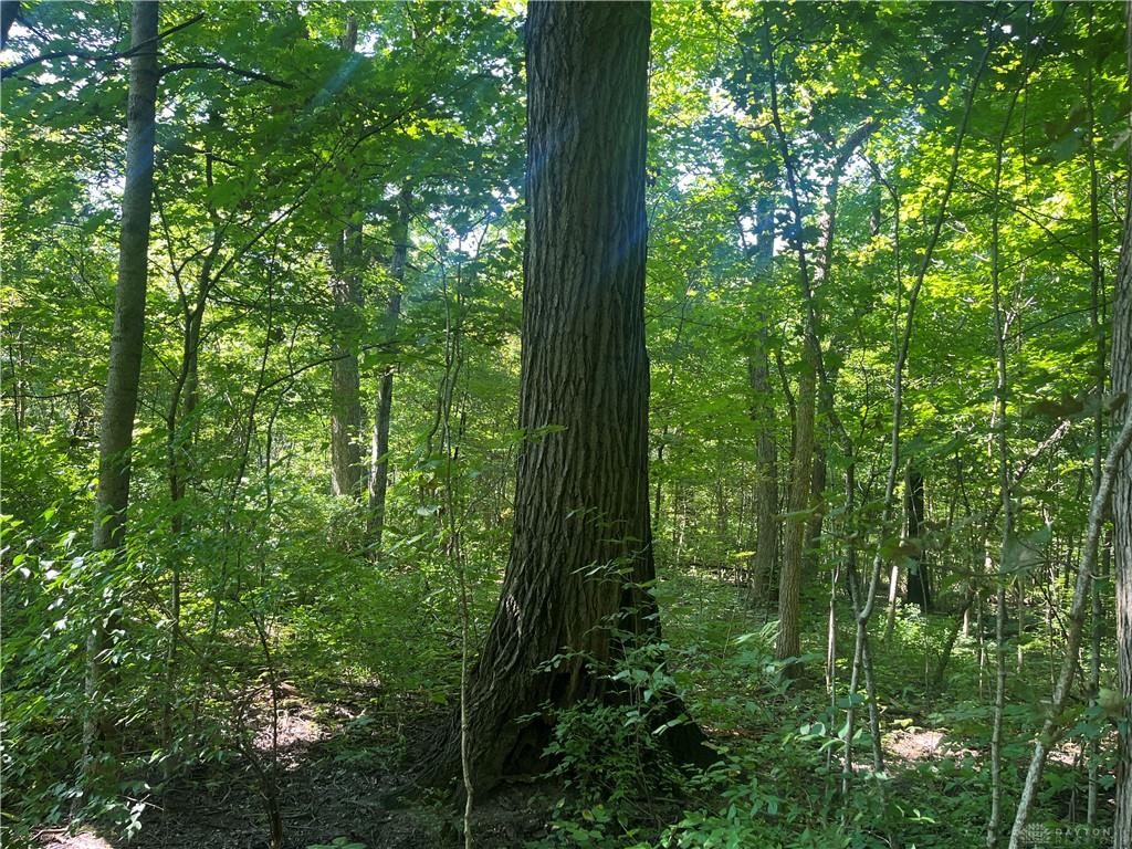 10331 Upper Alexander Property Photo 35