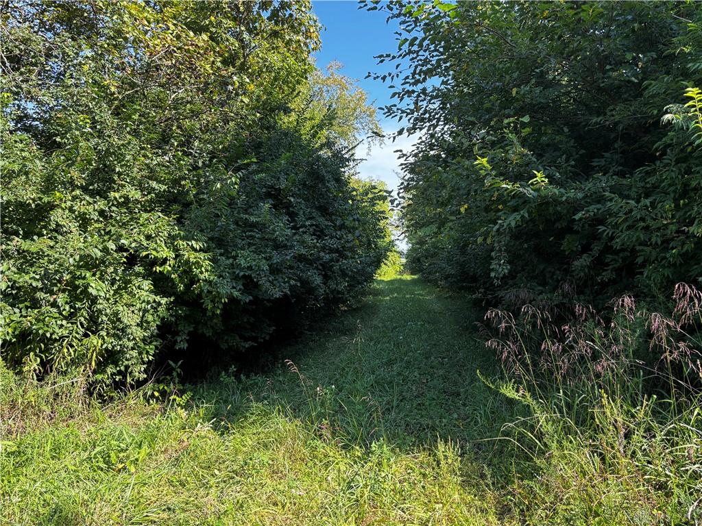 10331 Upper Alexander Property Photo 36