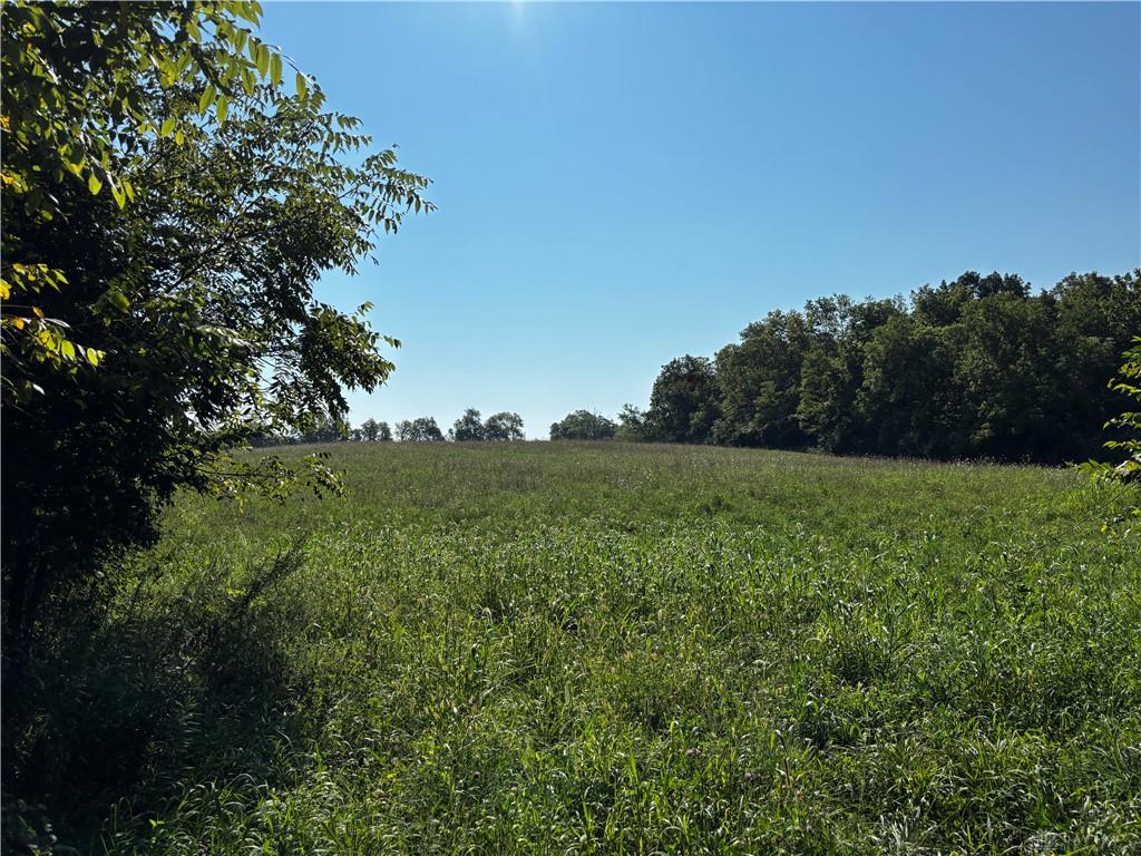 10331 Upper Alexander Property Photo 37