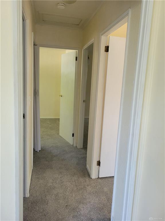 518 N Scott Property Photo 14