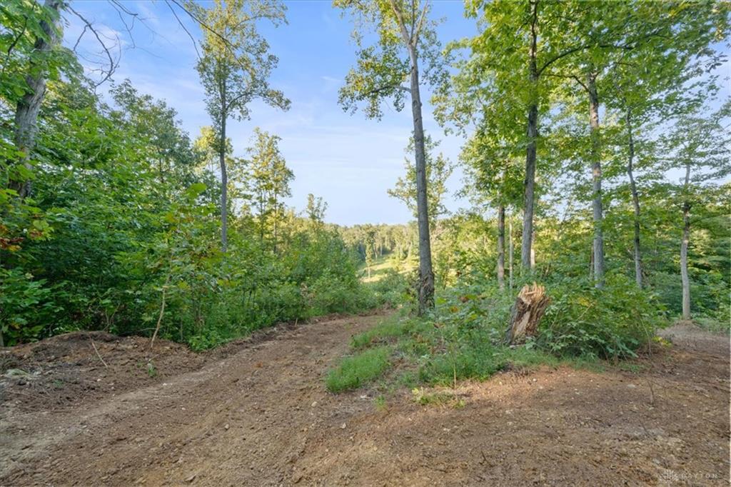 113 Ac Waggoner Riffle Property Photo 1