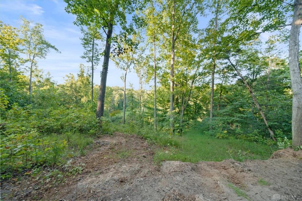 113 Ac Waggoner Riffle Property Photo 2