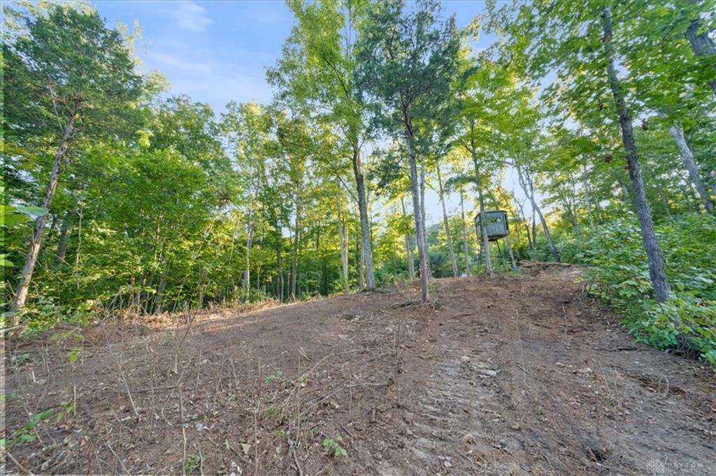113 Ac Waggoner Riffle Property Photo 3