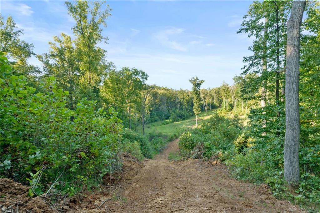 113 Ac Waggoner Riffle Property Photo 4