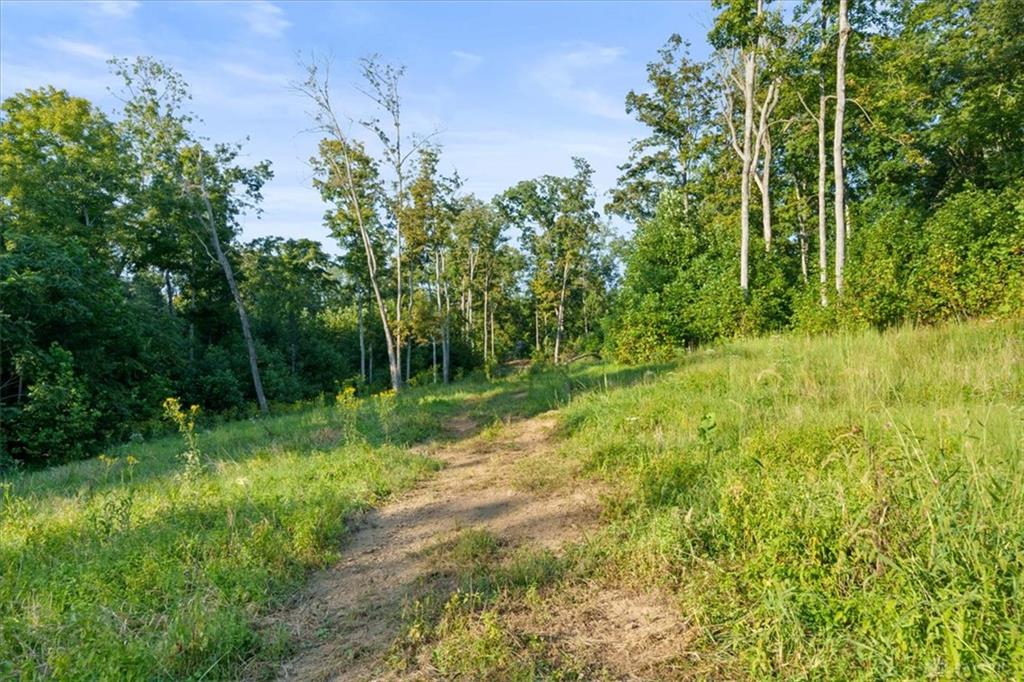113 Ac Waggoner Riffle Property Photo 6