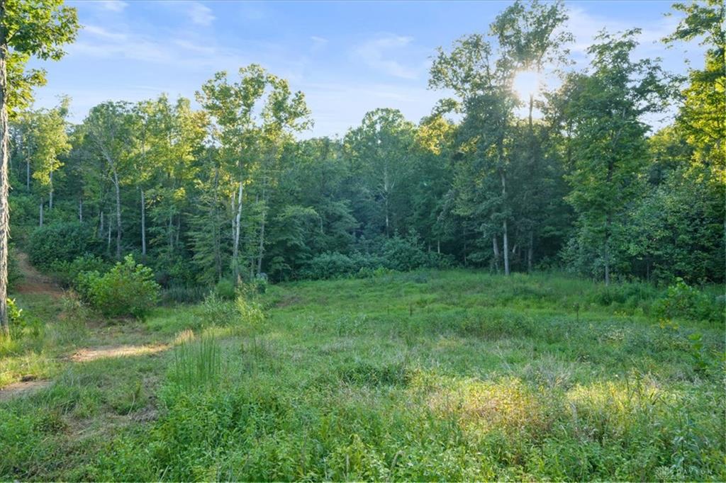 113 Ac Waggoner Riffle Property Photo 7