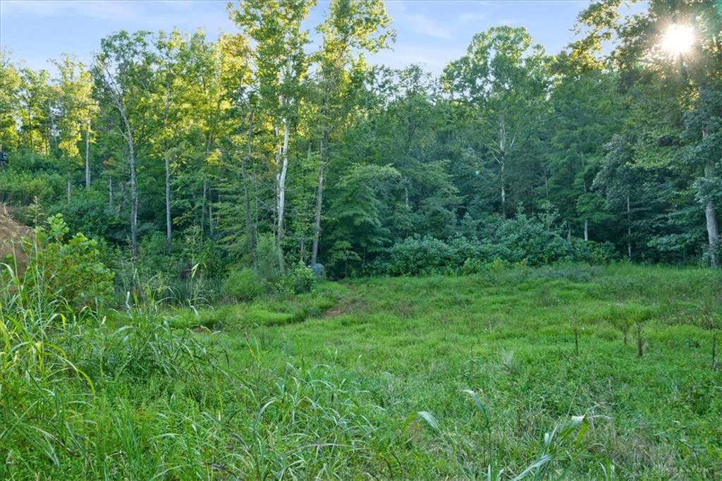 113 Ac Waggoner Riffle Property Photo 8