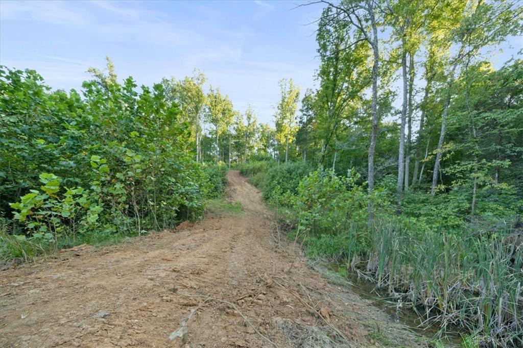 113 Ac Waggoner Riffle Property Photo 9