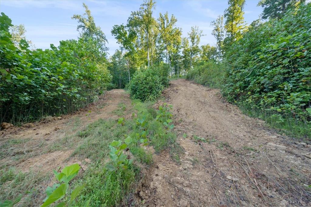 113 Ac Waggoner Riffle Property Photo 10