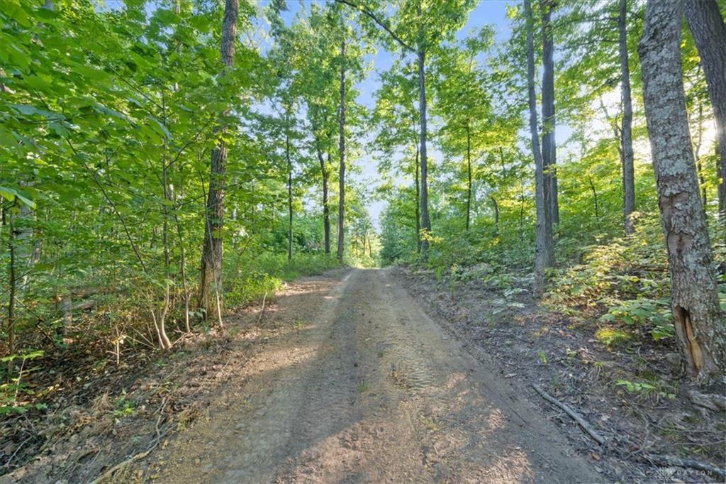 113 Ac Waggoner Riffle Property Photo 11