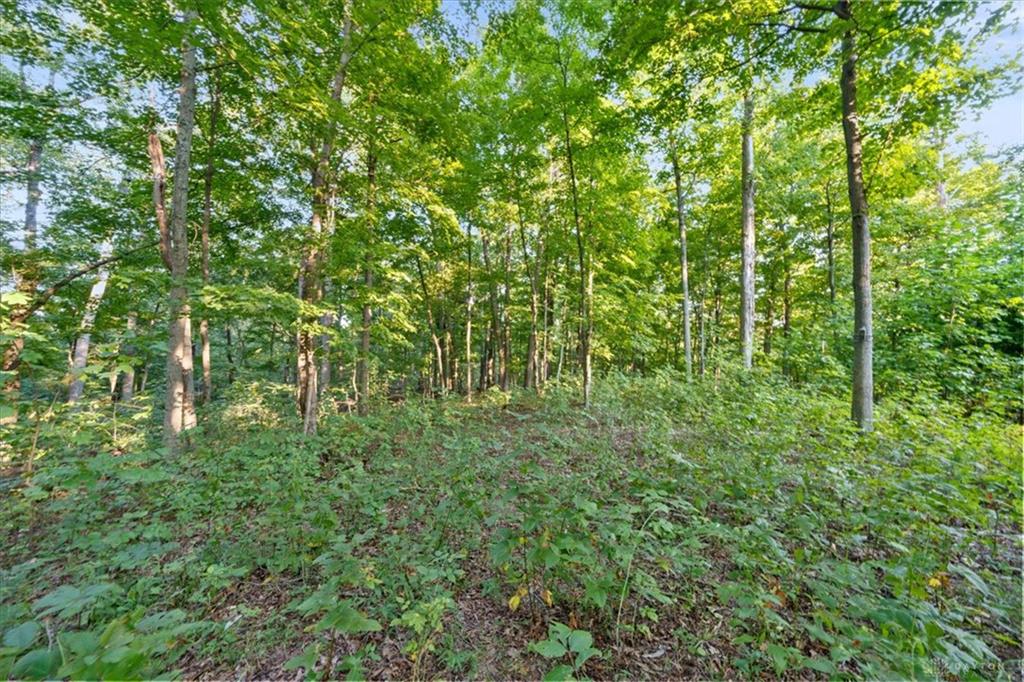 113 Ac Waggoner Riffle Property Photo 12