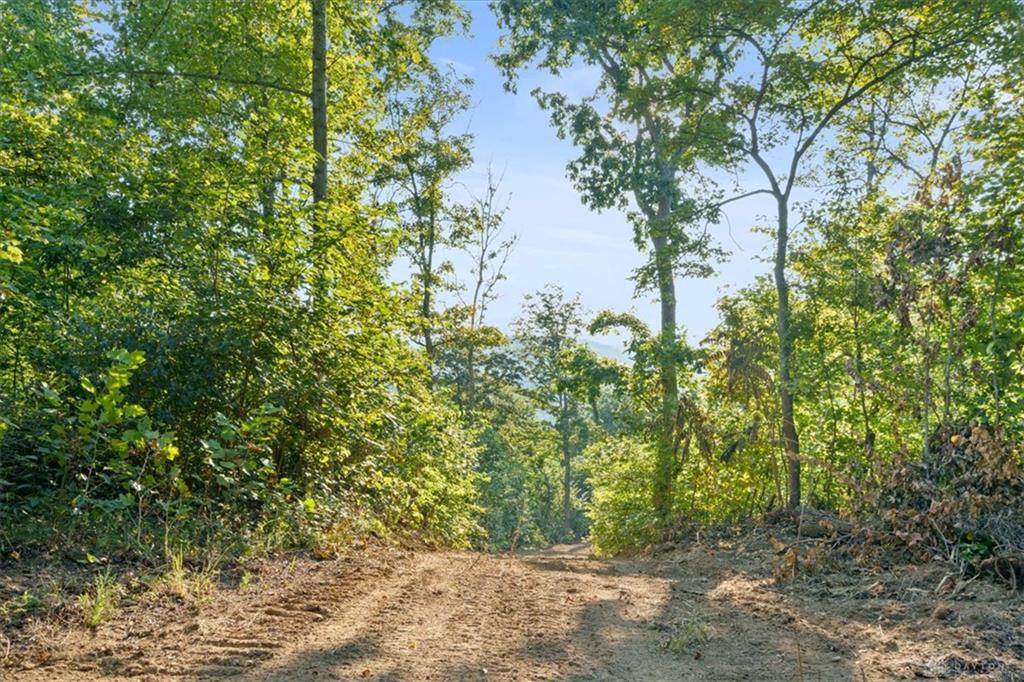 113 Ac Waggoner Riffle Property Photo 13