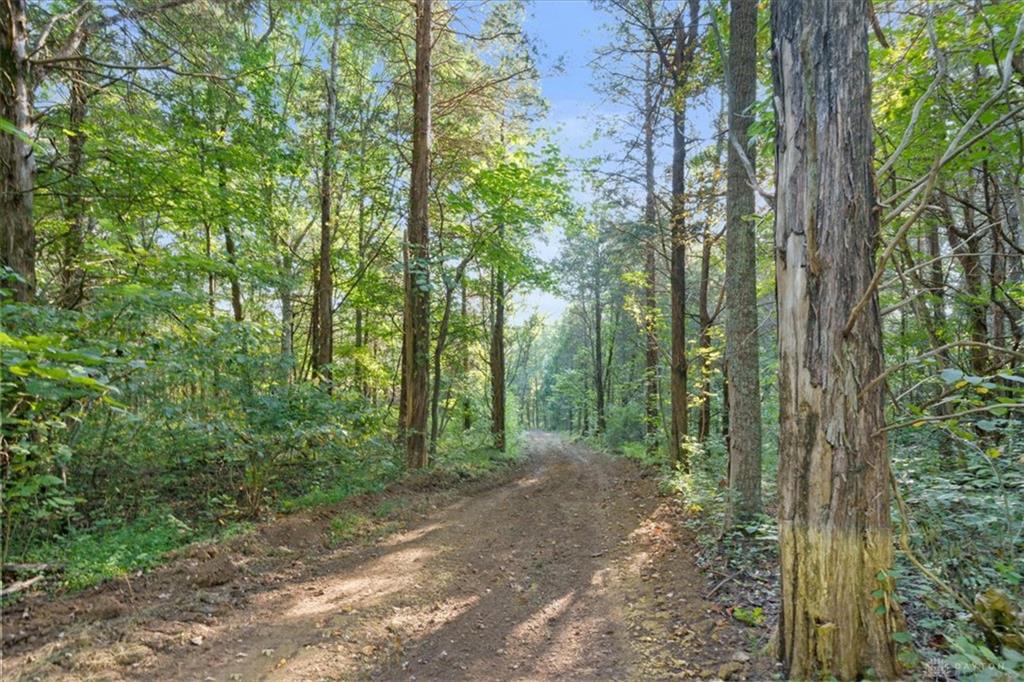 113 Ac Waggoner Riffle Property Photo 14