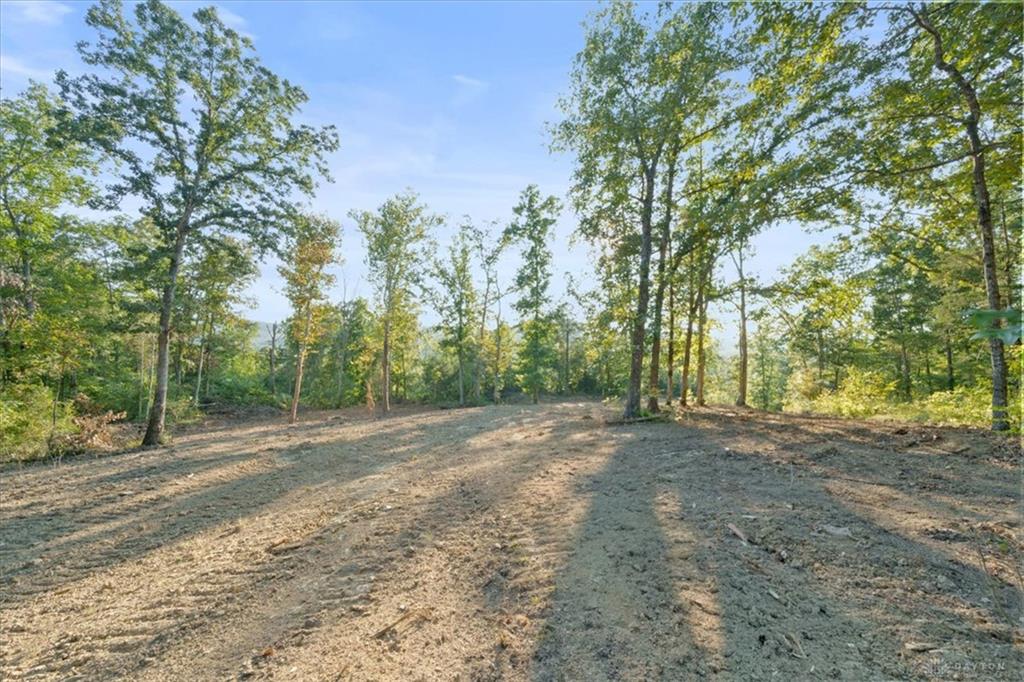 113 Ac Waggoner Riffle Property Photo 16