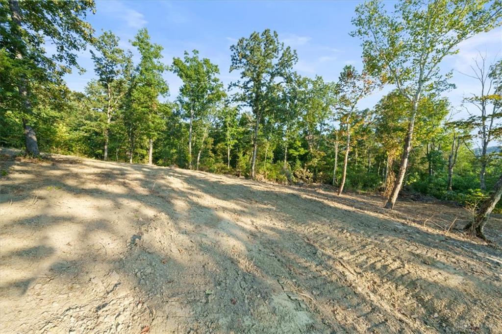 113 Ac Waggoner Riffle Property Photo 17