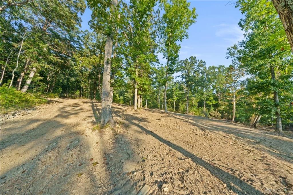 113 Ac Waggoner Riffle Property Photo 18