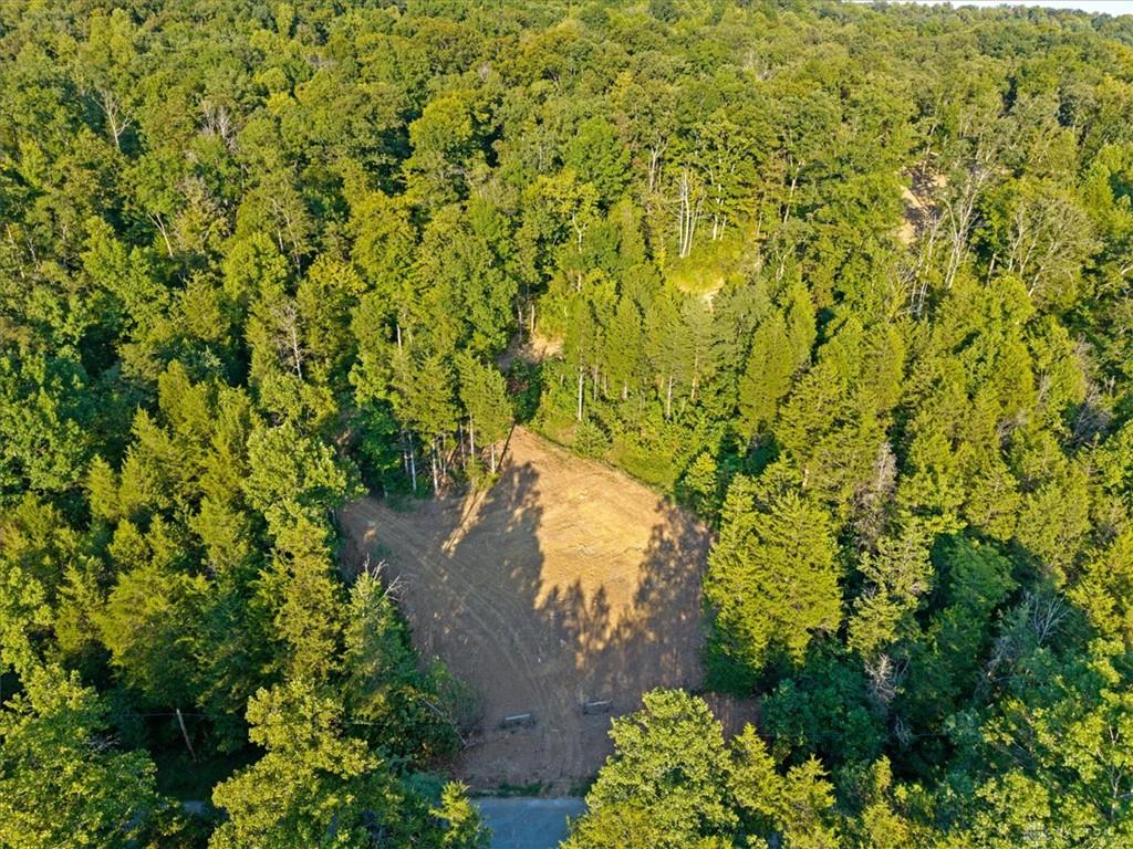 113 Ac Waggoner Riffle Property Photo 22
