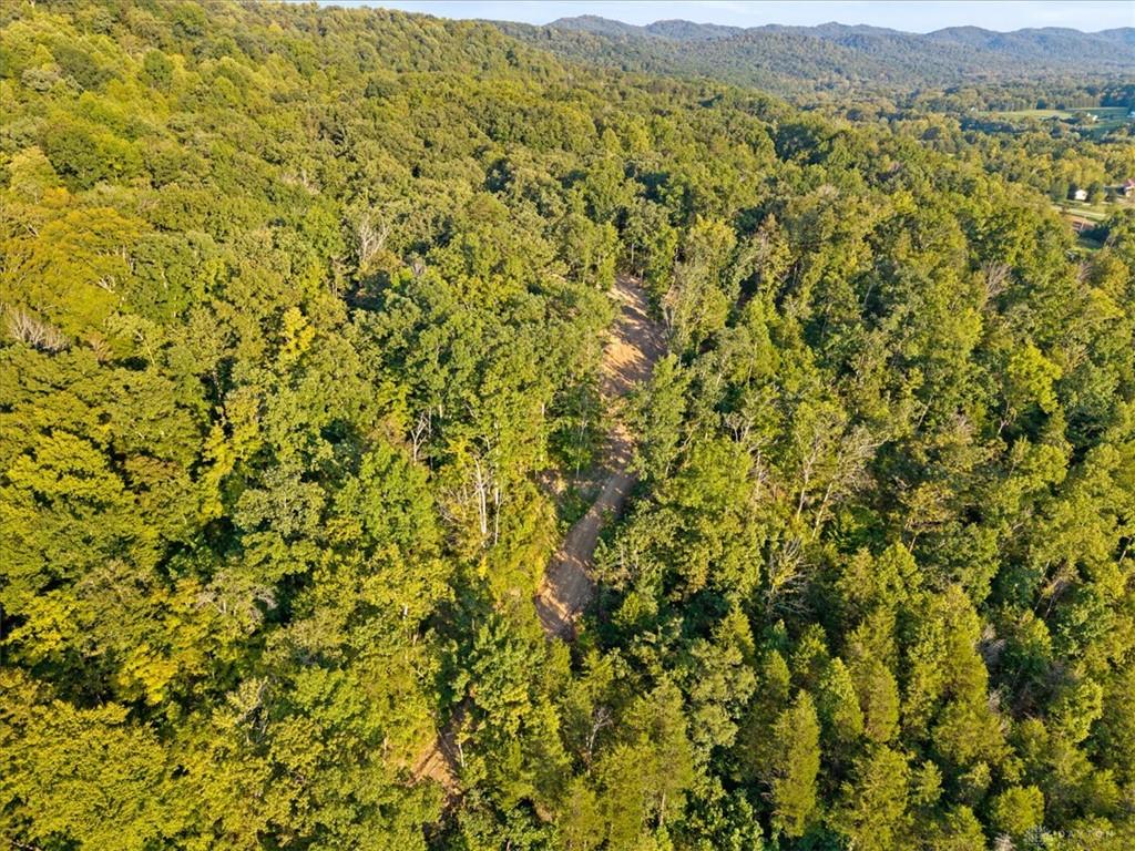 113 Ac Waggoner Riffle Property Photo 23