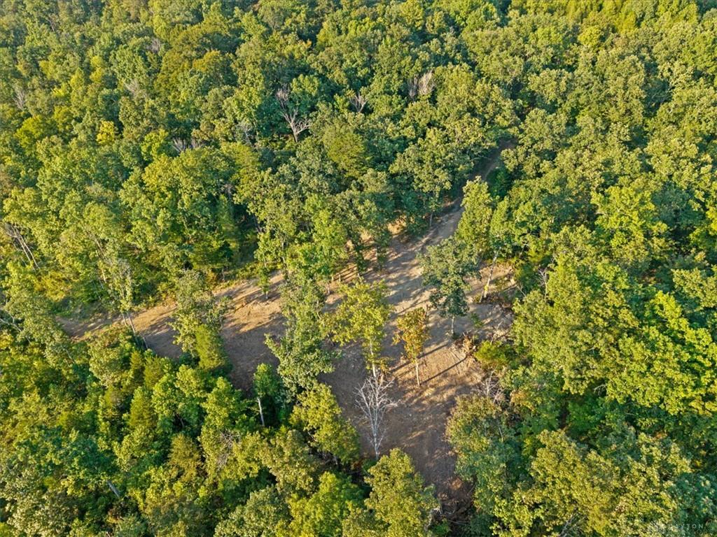 113 Ac Waggoner Riffle Property Photo 24