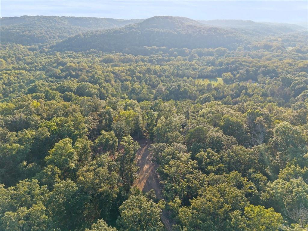 113 Ac Waggoner Riffle Property Photo 25