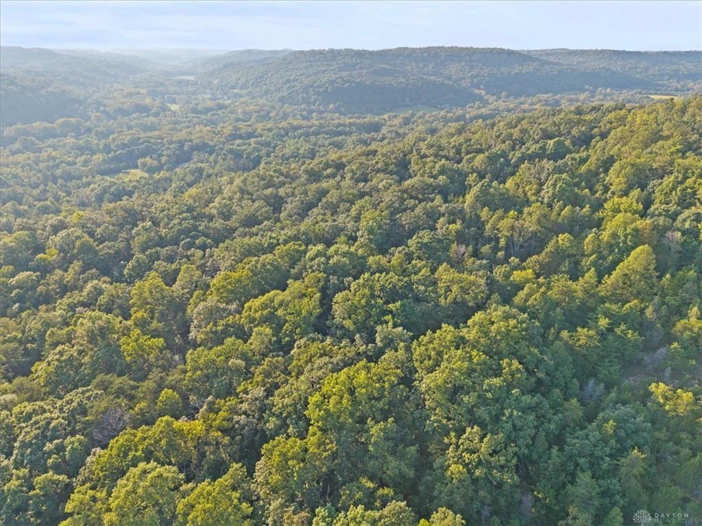 113 Ac Waggoner Riffle Property Photo 26
