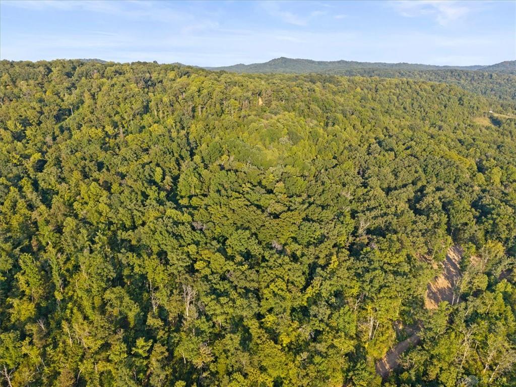 113 Ac Waggoner Riffle Property Photo 27