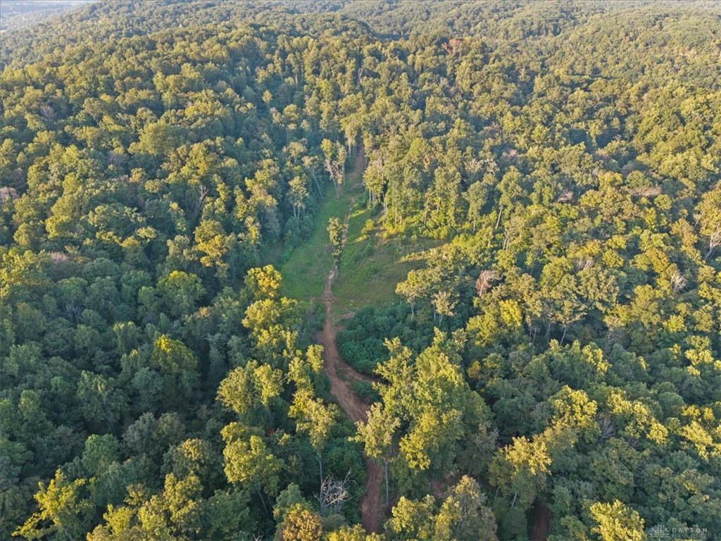 113 Ac Waggoner Riffle Property Photo 28