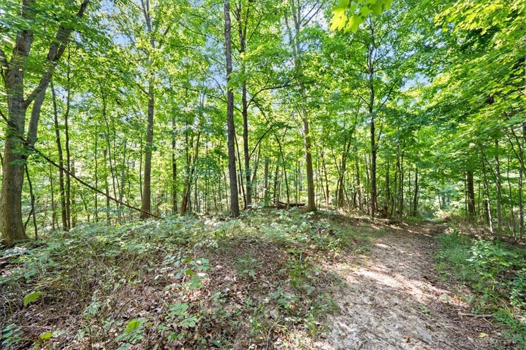 1061 Richardson Property Photo 14