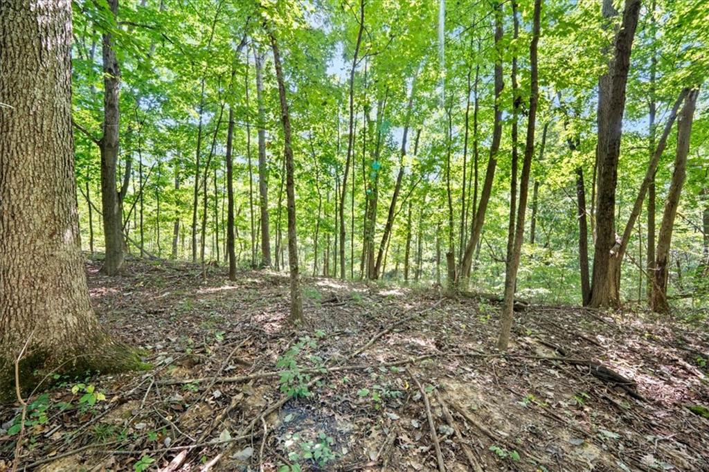 1061 Richardson Property Photo 15