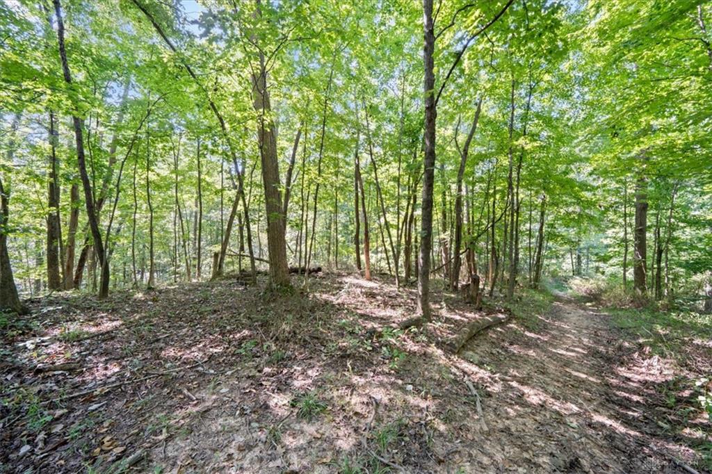 1061 Richardson Property Photo 16
