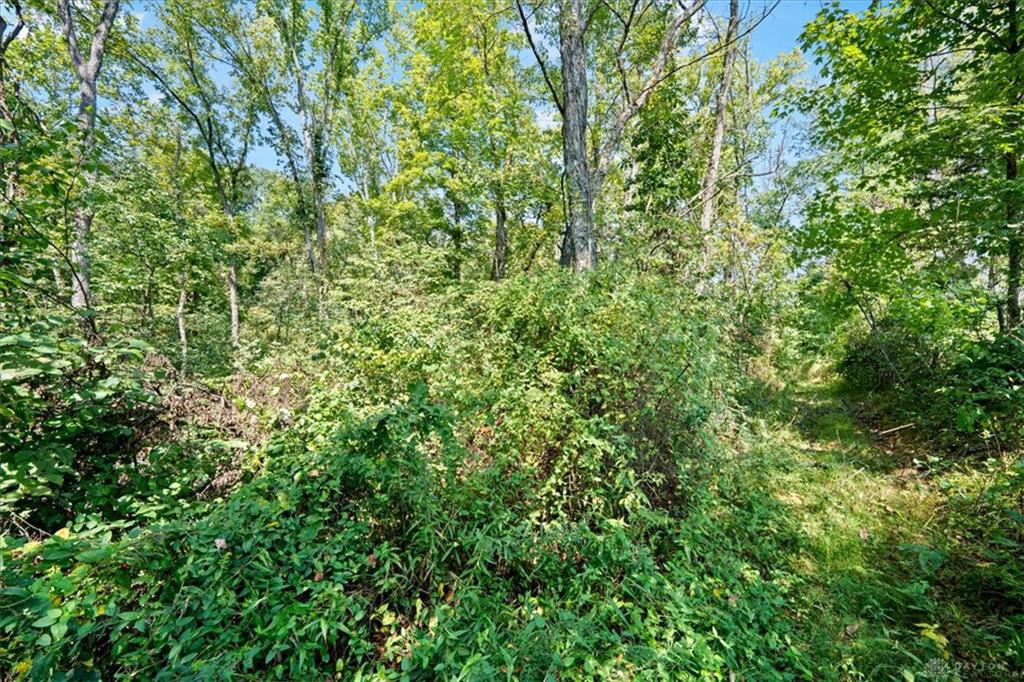 1061 Richardson Property Photo 17