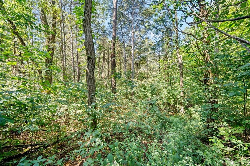 1061 Richardson Property Photo 18