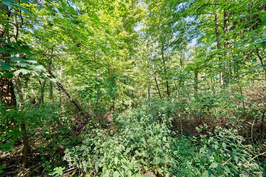 1061 Richardson Property Photo 20