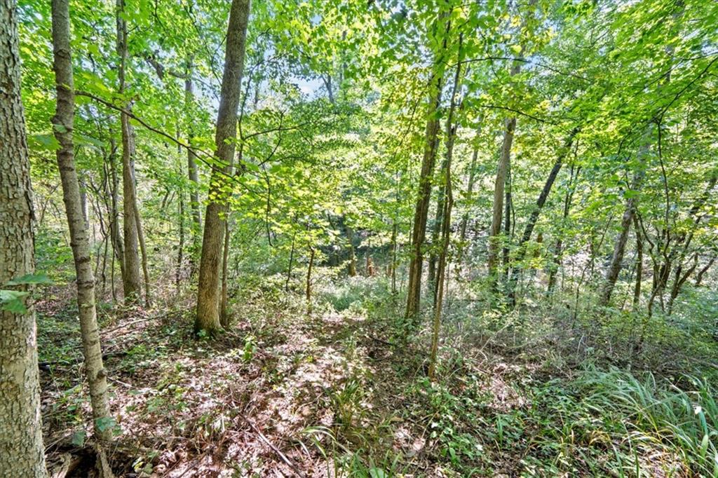 1061 Richardson Property Photo 21