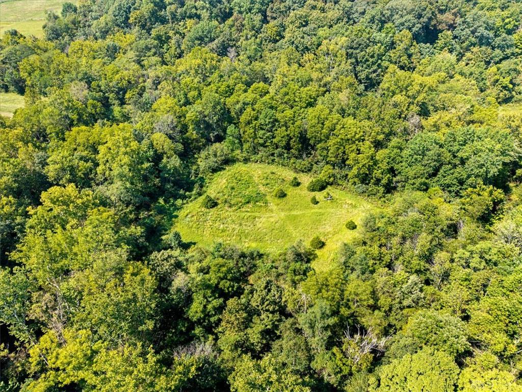 1061 Richardson Property Photo 23