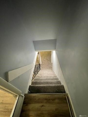 821 Princeton Property Photo 15