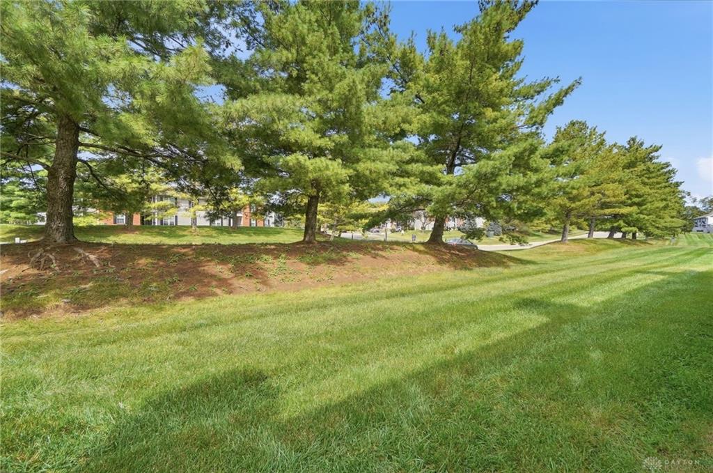 9765 Centerville Creek Property Photo 46