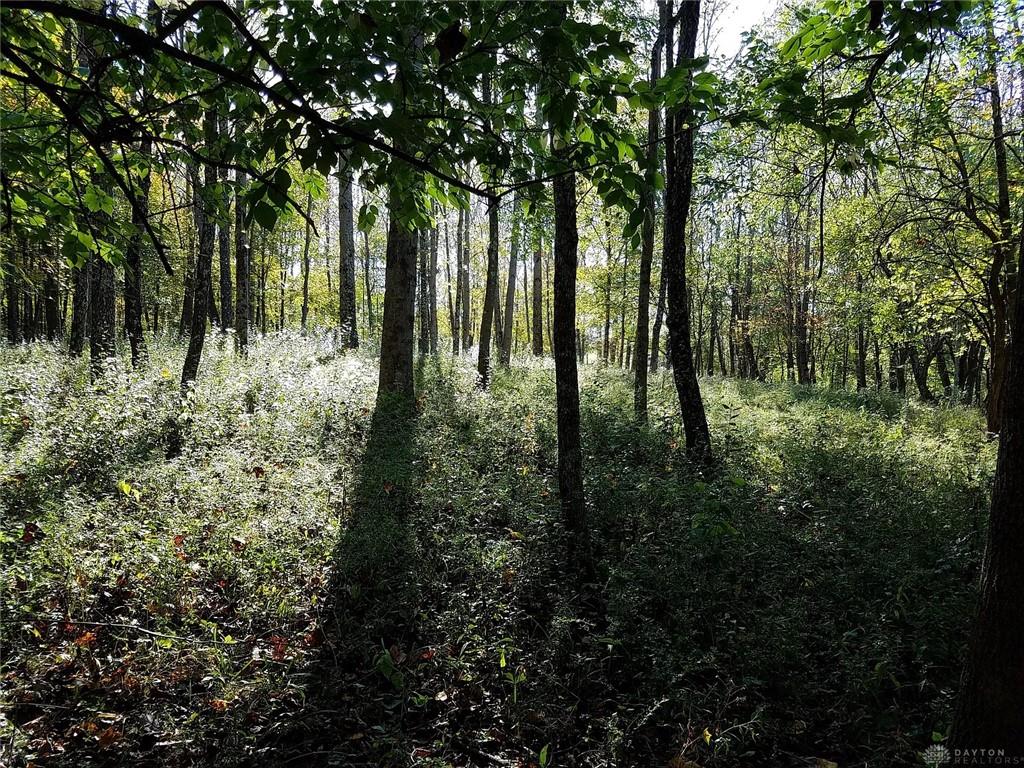 210 Blue Jay Property Photo 52